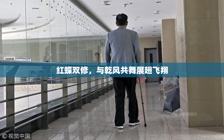红蝶双修，与乾风共舞展翅飞翔