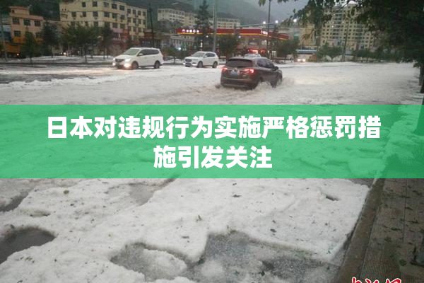 日本对违规行为实施严格惩罚措施引发关注