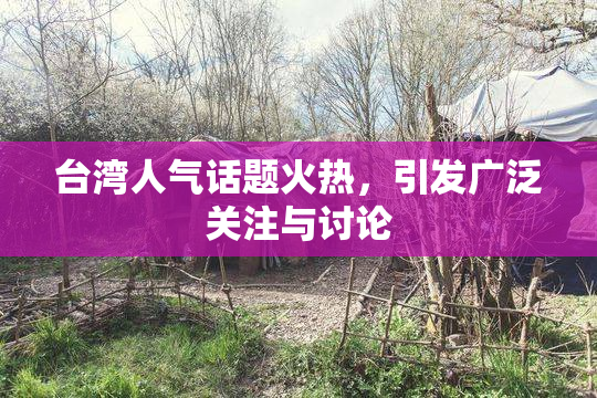 台湾人气话题火热，引发广泛关注与讨论
