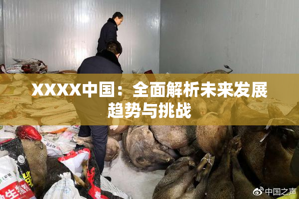 XXXX中国：全面解析未来发展趋势与挑战