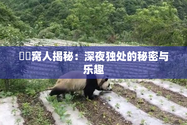 妺妺窝人揭秘：深夜独处的秘密与乐趣