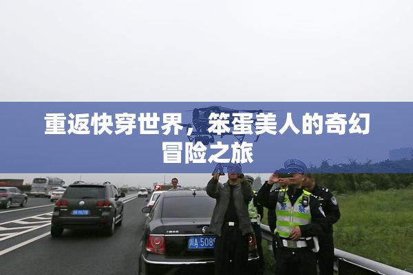 重返快穿世界，笨蛋美人的奇幻冒险之旅