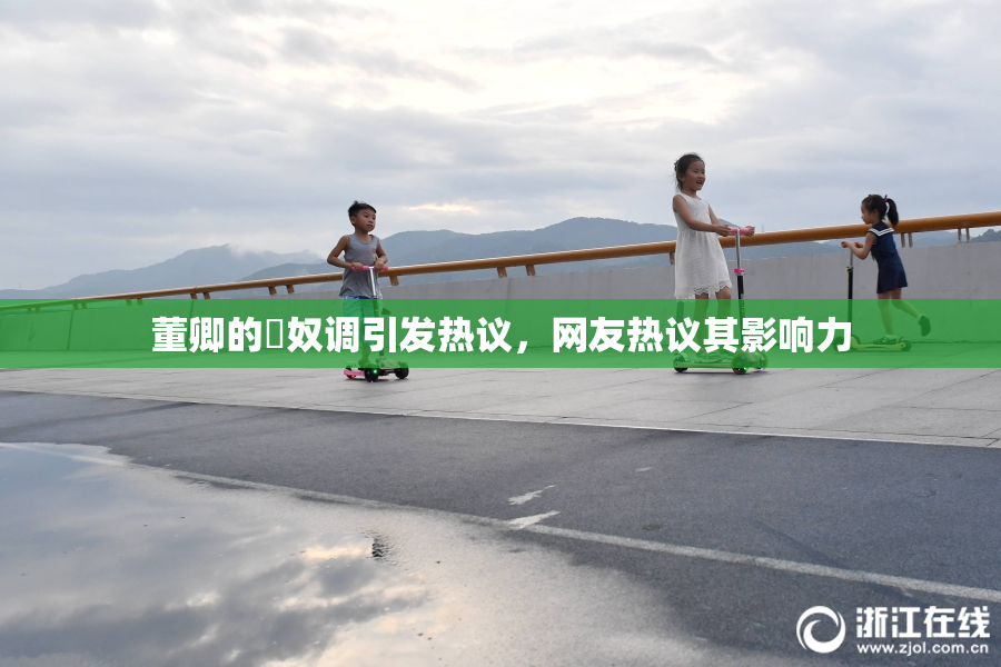 董卿的婬奴调引发热议，网友热议其影响力