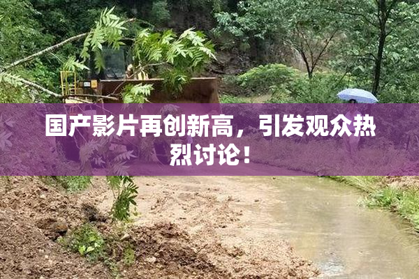国产影片再创新高，引发观众热烈讨论！