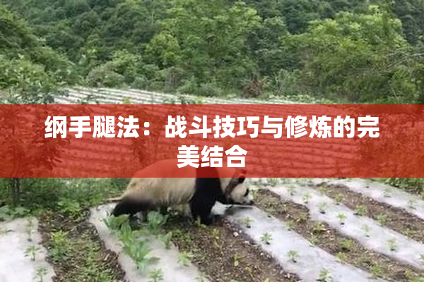 纲手腿法：战斗技巧与修炼的完美结合