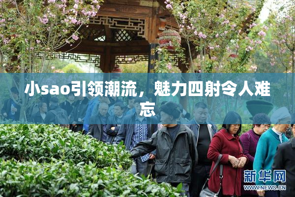 小sao引领潮流，魅力四射令人难忘