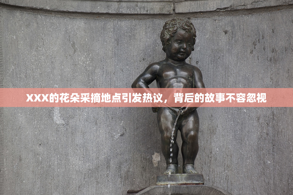 XXX的花朵采摘地点引发热议，背后的故事不容忽视