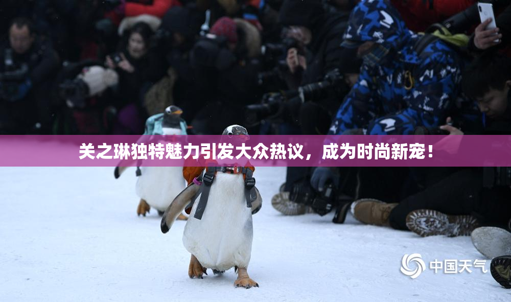 关之琳独特魅力引发大众热议，成为时尚新宠！