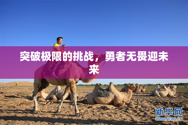 突破极限的挑战，勇者无畏迎未来