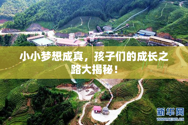 小小梦想成真，孩子们的成长之路大揭秘！