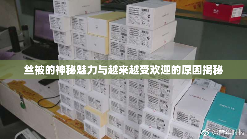 丝被的神秘魅力与越来越受欢迎的原因揭秘