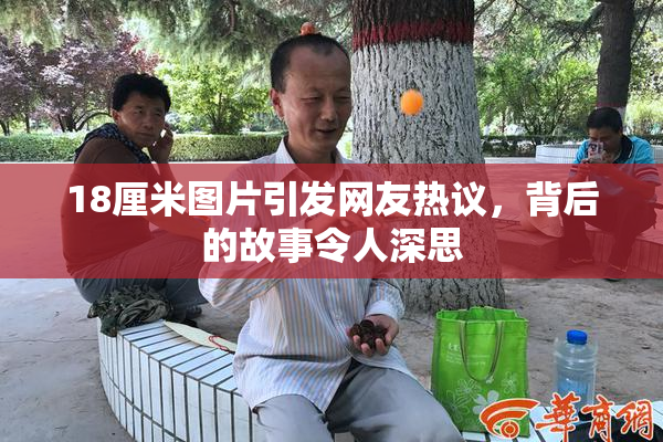 18厘米图片引发网友热议，背后的故事令人深思