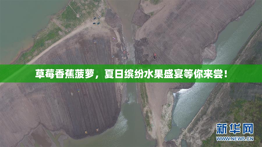 草莓香蕉菠萝，夏日缤纷水果盛宴等你来尝！