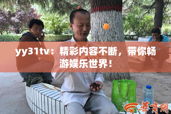 yy31tv：精彩内容不断，带你畅游娱乐世界！