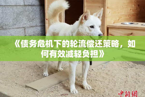 《债务危机下的轮流偿还策略，如何有效减轻负担》