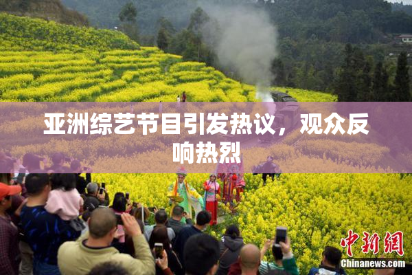 亚洲综艺节目引发热议，观众反响热烈