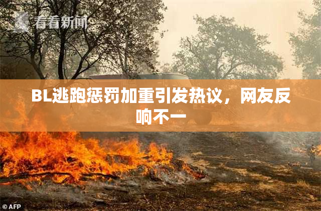 BL逃跑惩罚加重引发热议，网友反响不一