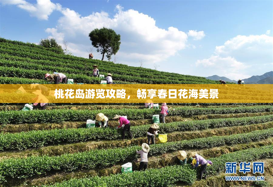 桃花岛游览攻略，畅享春日花海美景