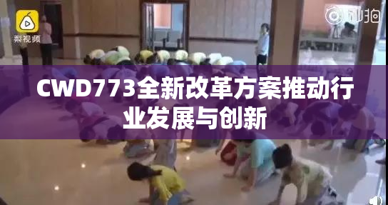 CWD773全新改革方案推动行业发展与创新