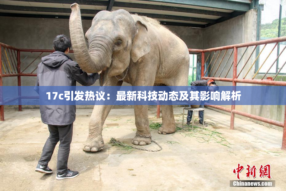 17c引发热议：最新科技动态及其影响解析