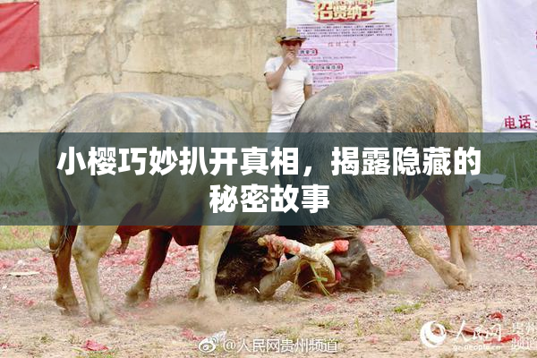 小樱巧妙扒开真相，揭露隐藏的秘密故事