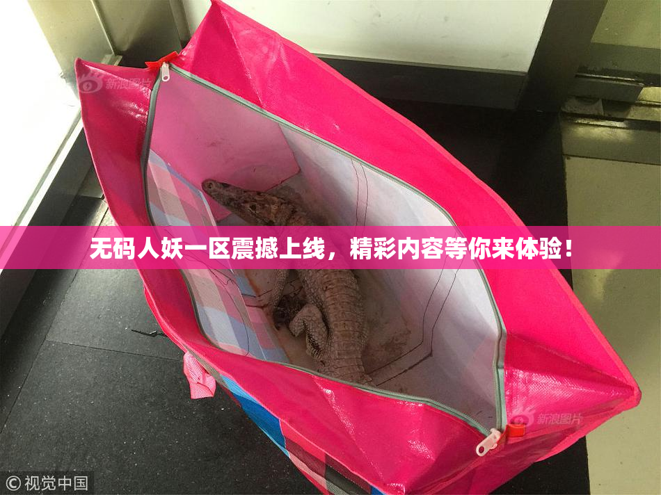 无码人妖一区震撼上线，精彩内容等你来体验！
