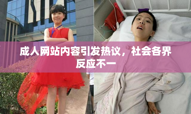 成人网站内容引发热议，社会各界反应不一