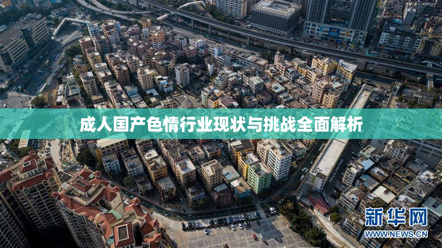成人国产色情行业现状与挑战全面解析
