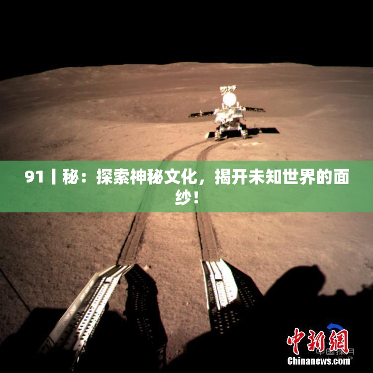 91丨秘：探索神秘文化，揭开未知世界的面纱！
