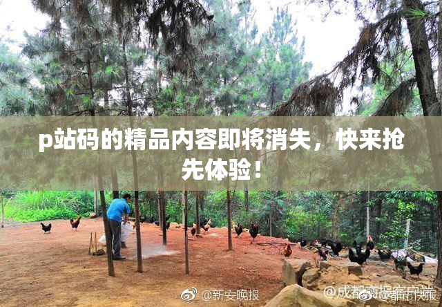 p站码的精品内容即将消失，快来抢先体验！