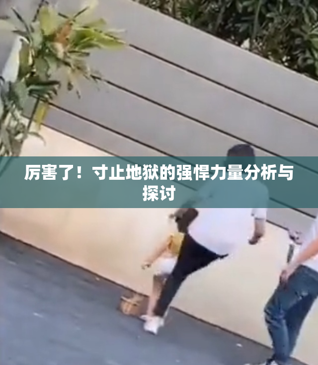 厉害了！寸止地狱的强悍力量分析与探讨