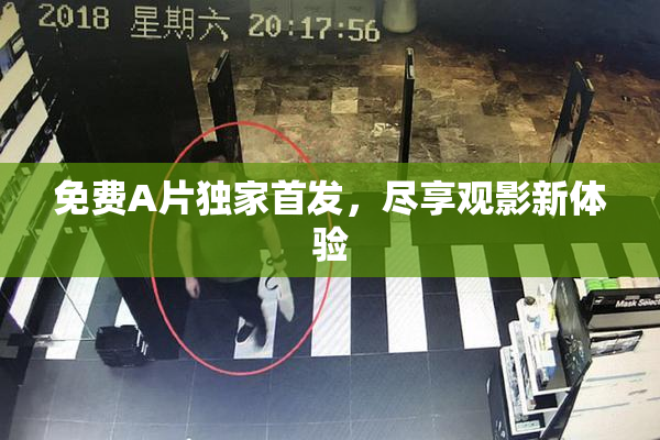 免费A片独家首发，尽享观影新体验