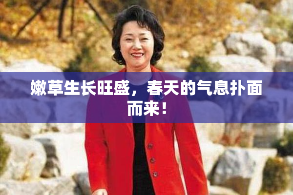 嫩草生长旺盛，春天的气息扑面而来！