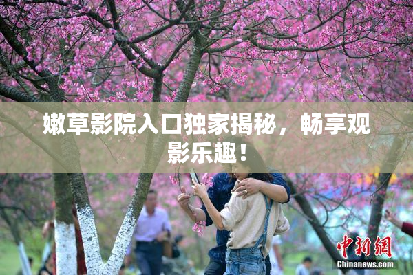 嫩草影院入口独家揭秘，畅享观影乐趣！
