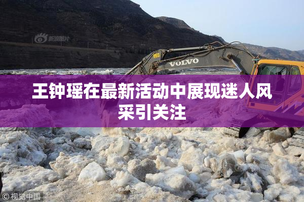 王钟瑶在最新活动中展现迷人风采引关注