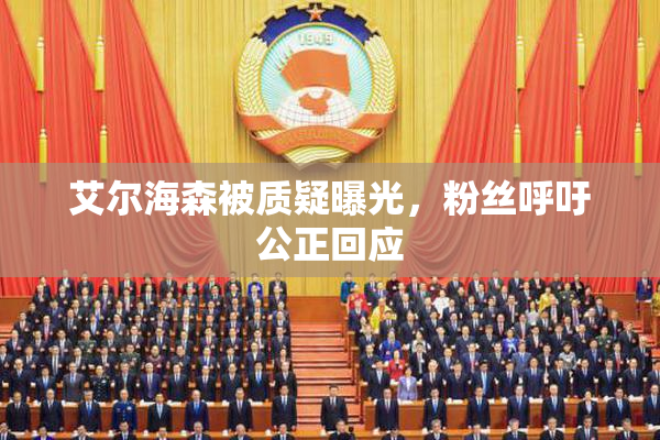 艾尔海森被质疑曝光，粉丝呼吁公正回应