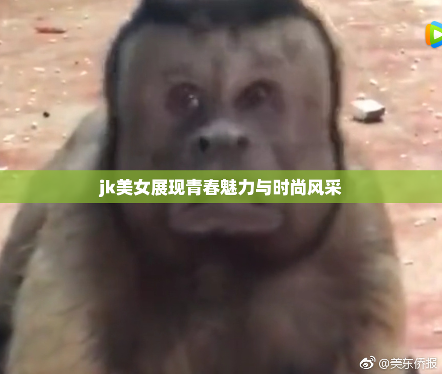 jk美女展现青春魅力与时尚风采