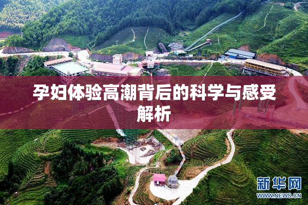 孕妇体验高潮背后的科学与感受解析