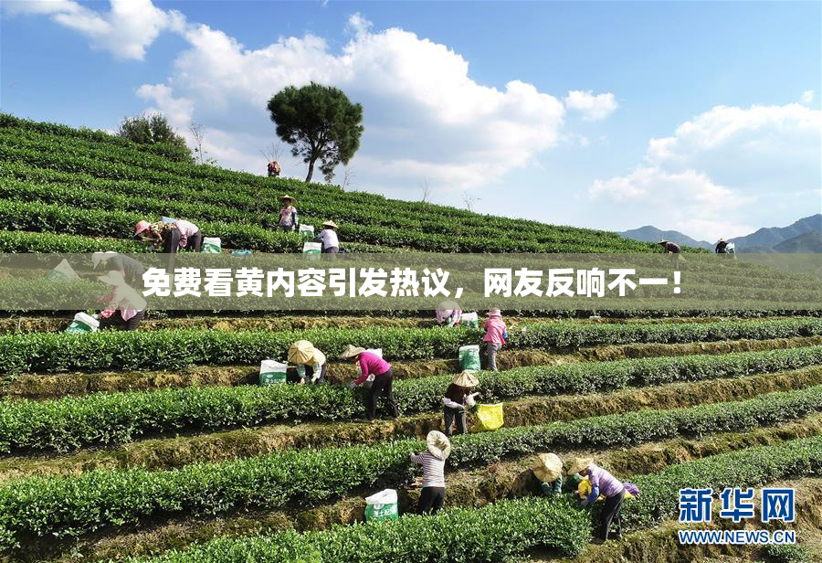 免费看黄内容引发热议，网友反响不一！
