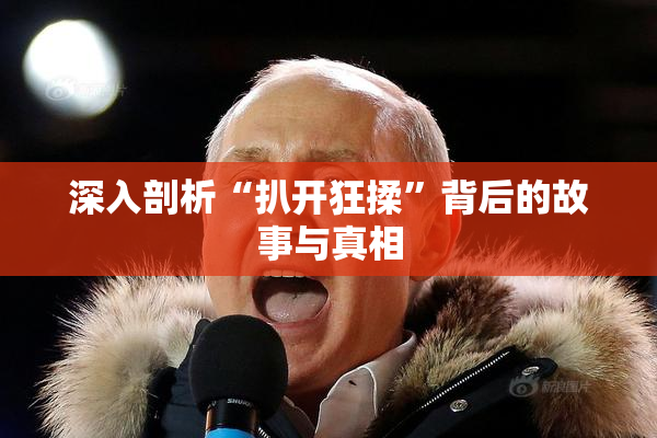 深入剖析“扒开狂揉”背后的故事与真相