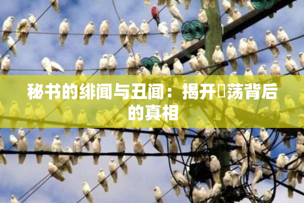 秘书的绯闻与丑闻：揭开婬荡背后的真相