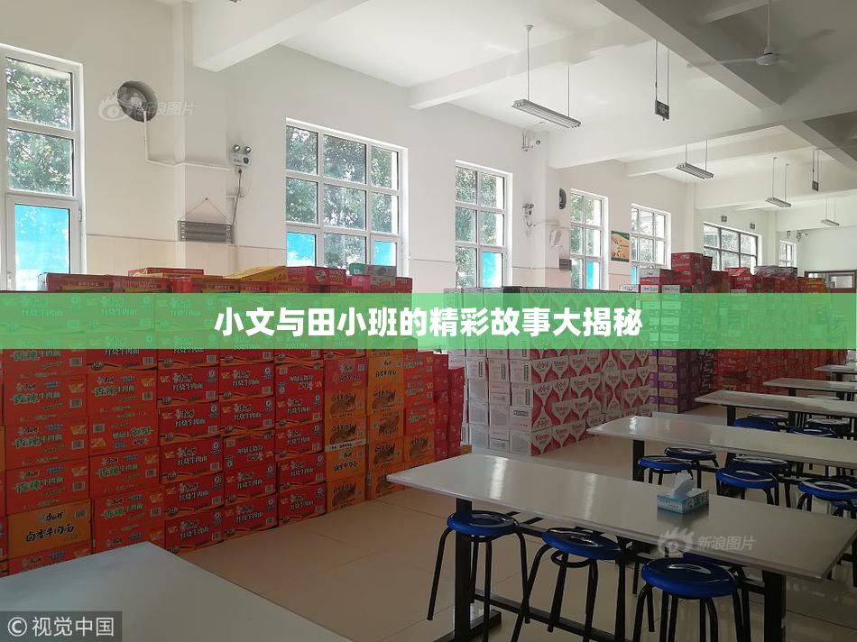 小文与田小班的精彩故事大揭秘