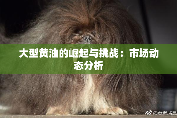 大型黄油的崛起与挑战：市场动态分析