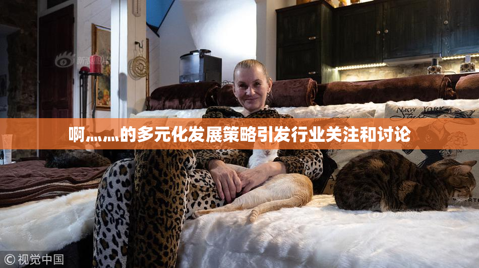 啊灬灬的多元化发展策略引发行业关注和讨论