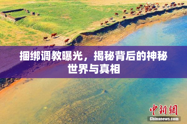 捆绑调教曝光，揭秘背后的神秘世界与真相