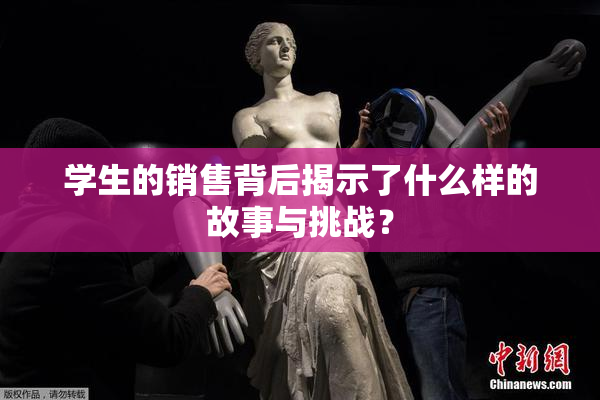 学生的销售背后揭示了什么样的故事与挑战？