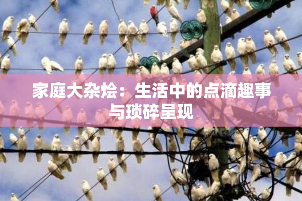 家庭大杂烩：生活中的点滴趣事与琐碎呈现