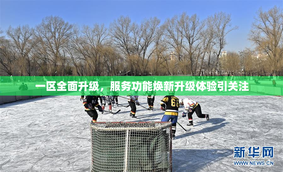 一区全面升级，服务功能焕新升级体验引关注