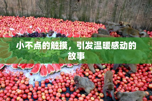 小不点的触摸，引发温暖感动的故事