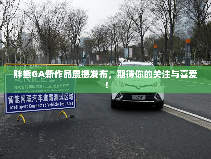 胖熊GA新作品震撼发布，期待你的关注与喜爱！